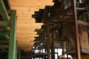 lumber at a sawmill