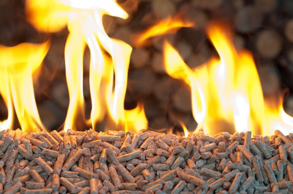 Biomass. What Is It and Why Should I Care? | Wood. It's Real. | Wood