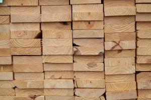southern yellow pine