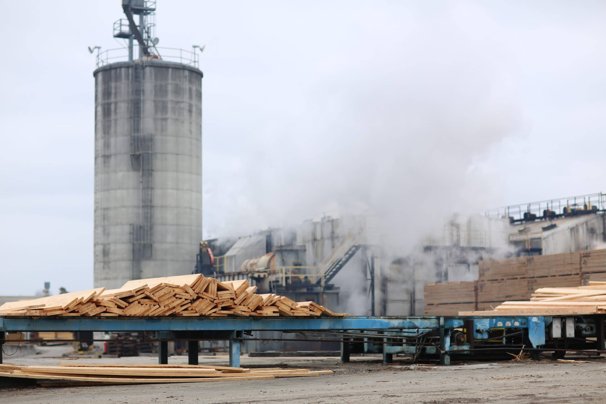 Good to Know: Zero Waste in Sawmills