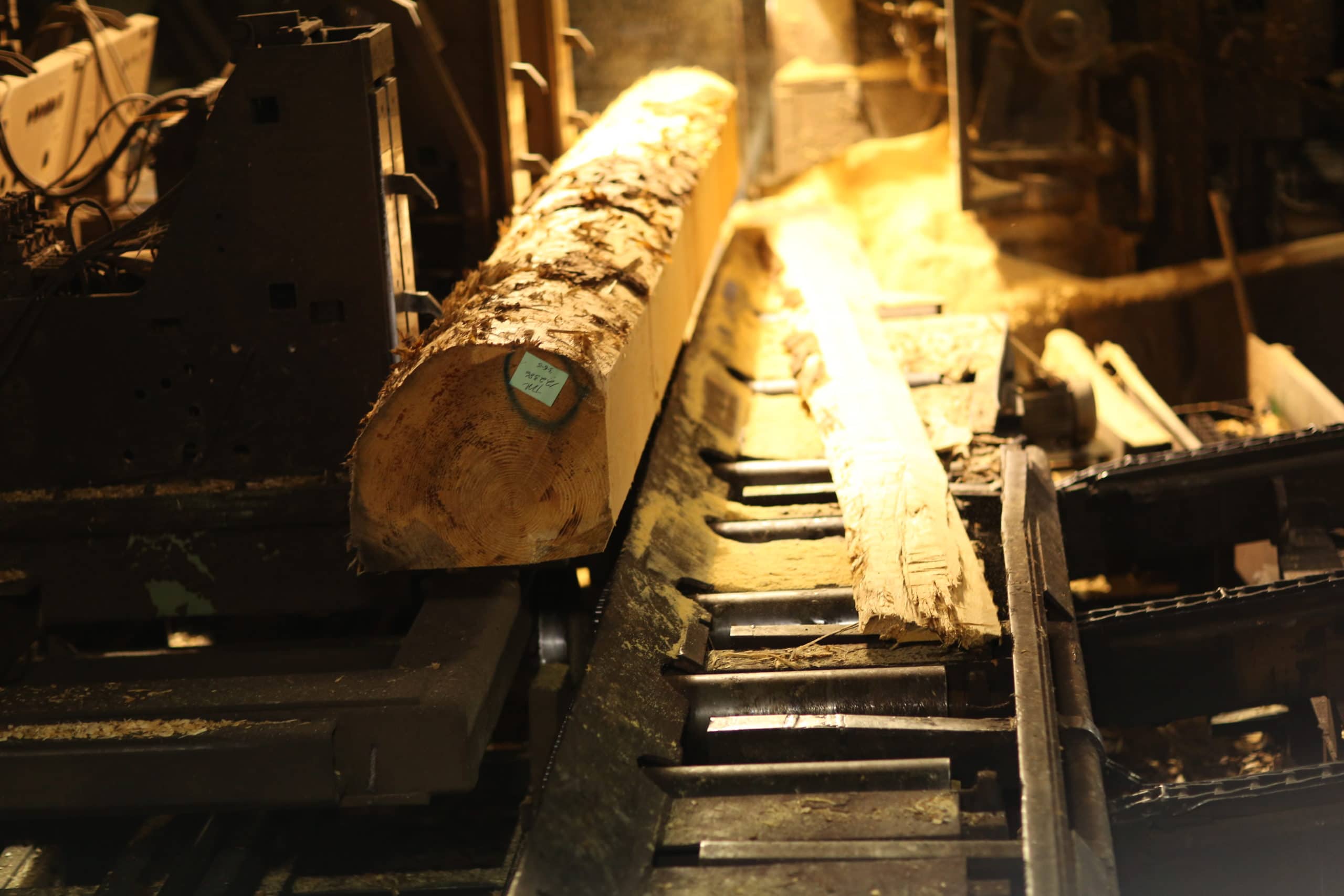 High Tech Timber: The Modern Sawmill
