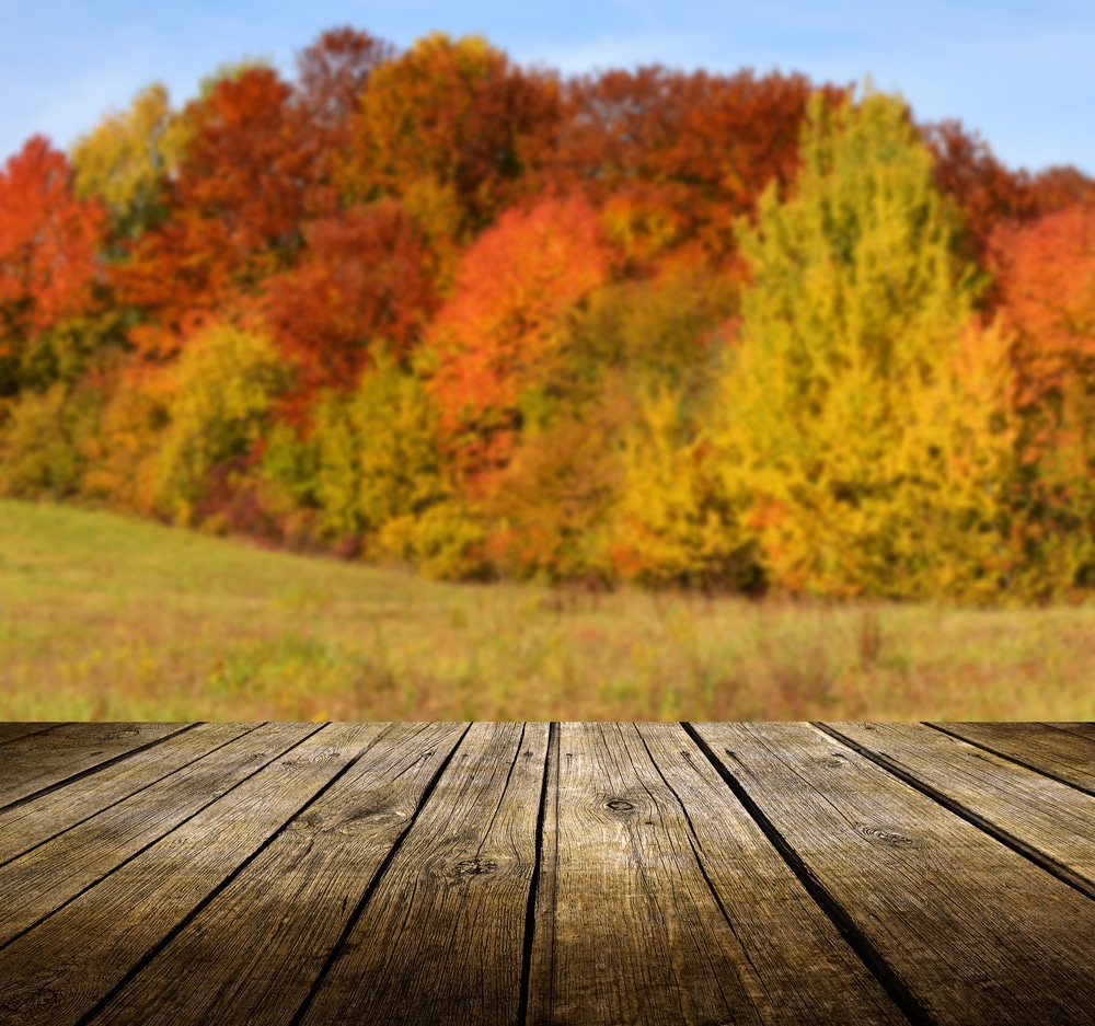 Prepping Your Deck for Winter: Your Fall To-Do List