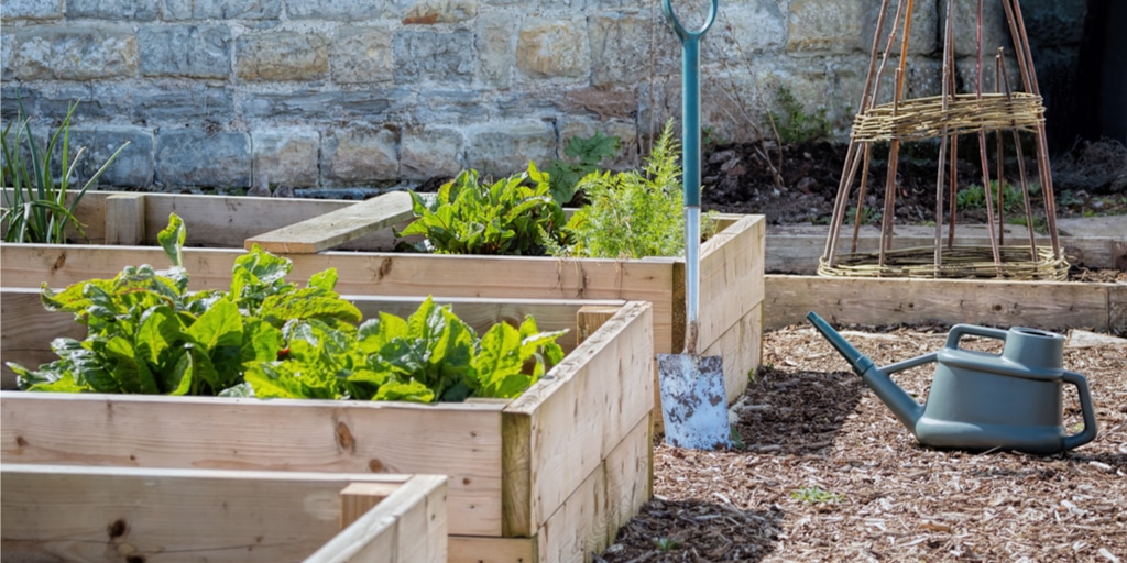 5 Amazing Raised Garden Beds