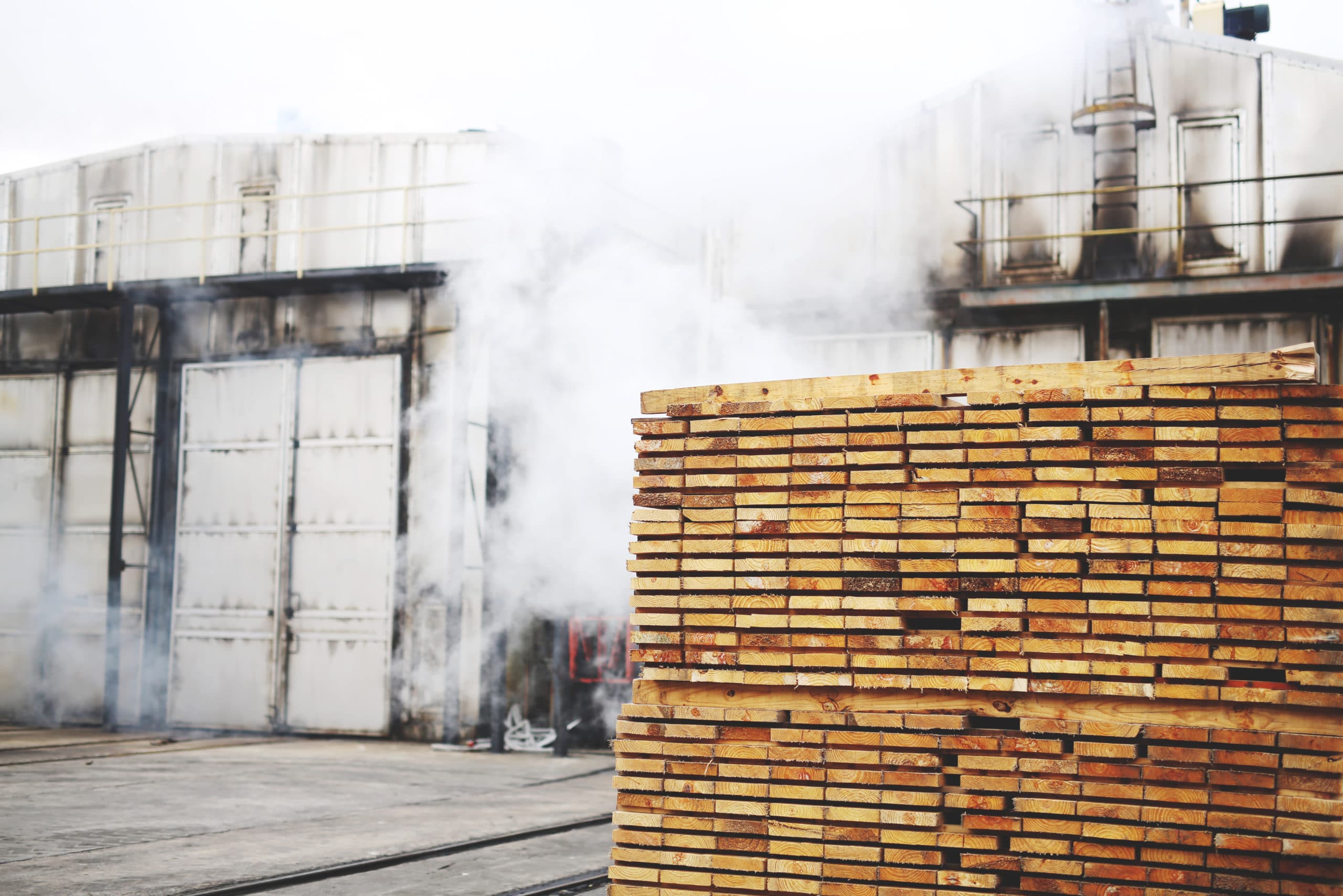 Looking to Lumber for a Sustainable Future
