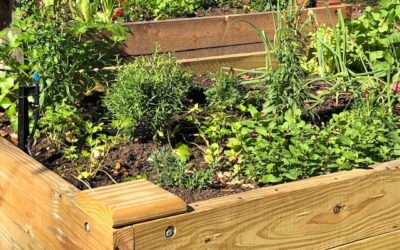 Create It: Raised Garden Bed