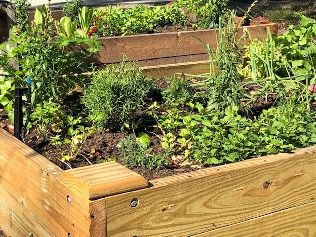 Create It: Raised Garden Bed